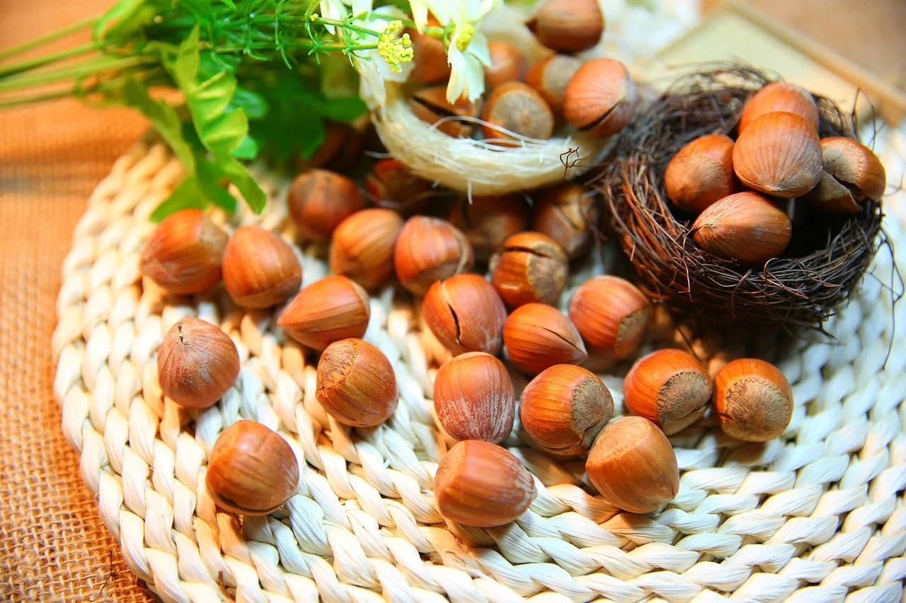 Naturopathe Iridologue