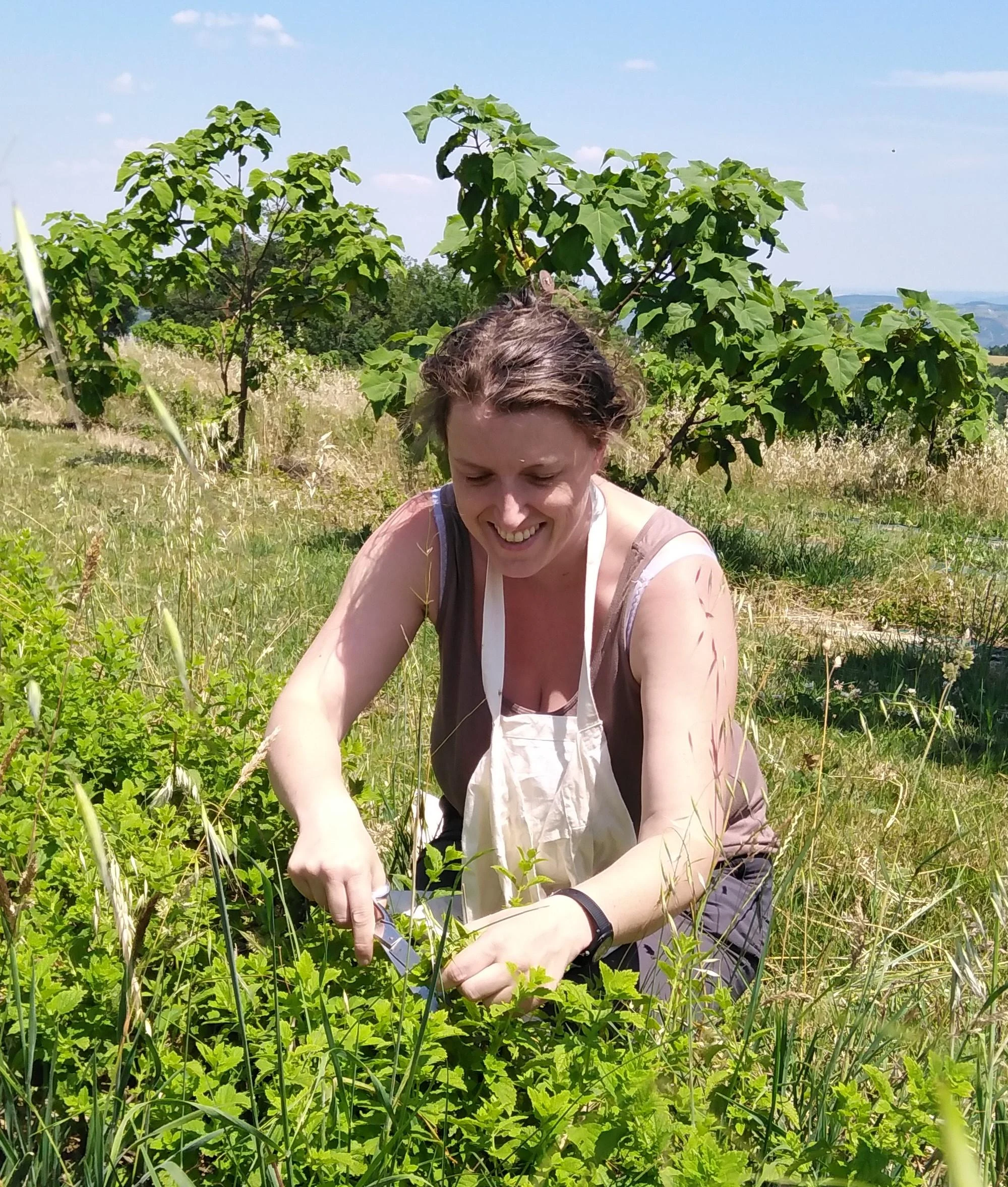 La magie des plantes