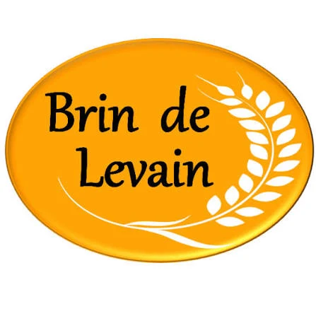 Logo de BRIN de levain